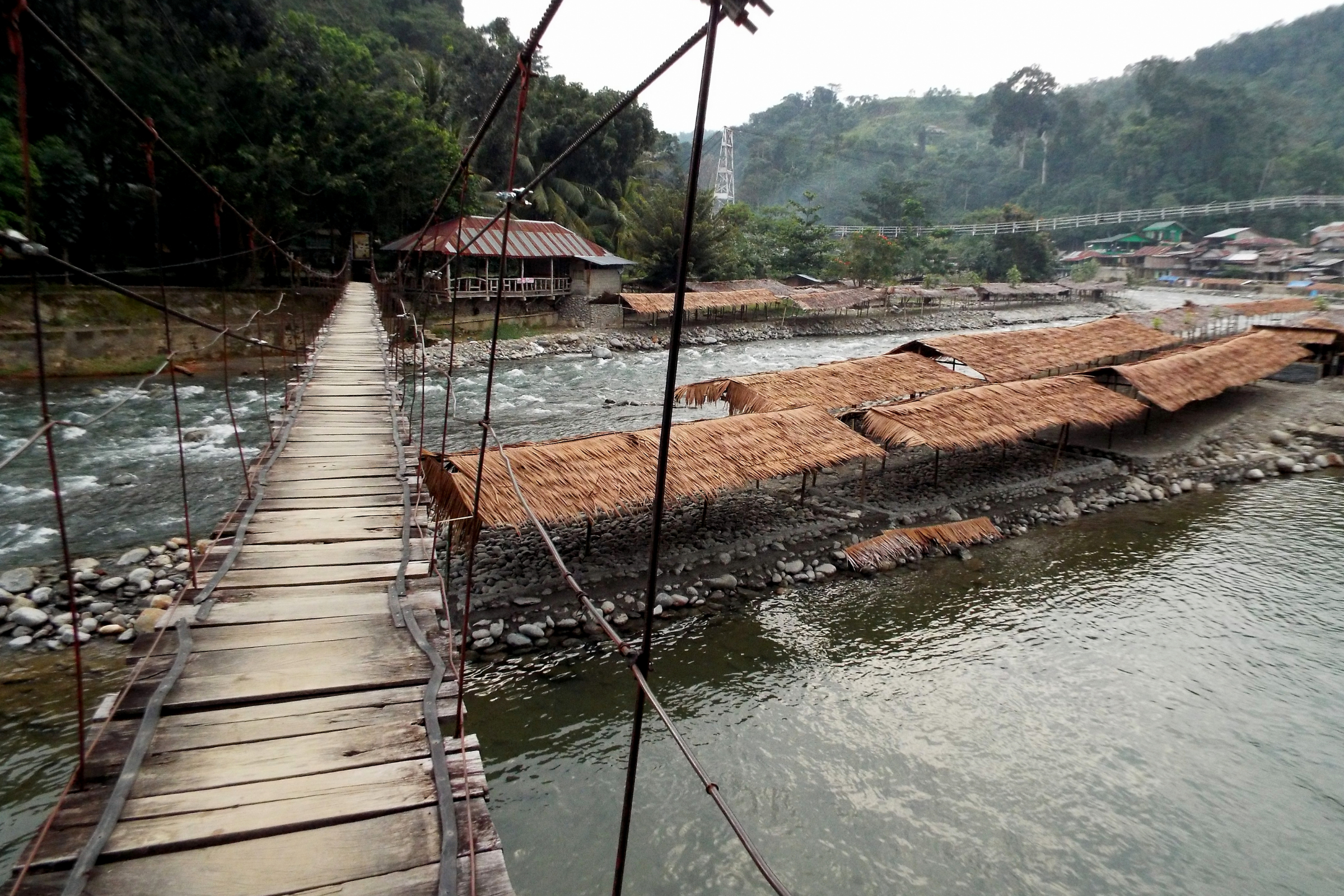 bukit lawang (2).webp